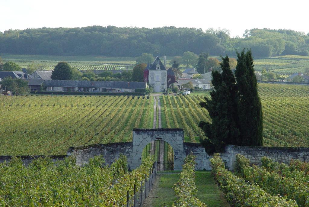 Chateau De Chaintres Holiday home
